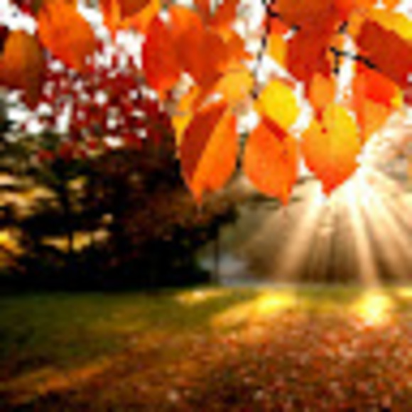 autumnwicklund